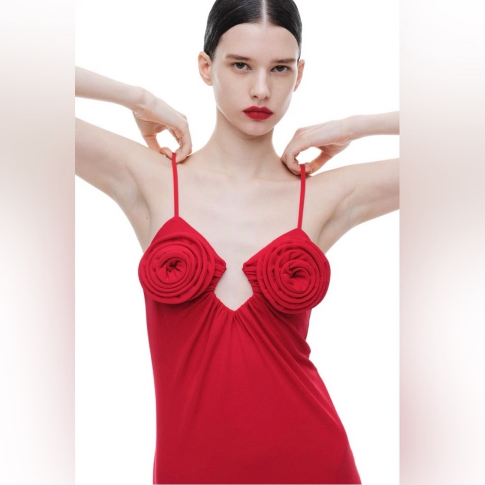 NWT MAGDA BUTRYM H&M ROSE-APPLIQUÉD SLIP DRESS